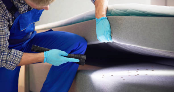Best Wasp Removal Services  in Superior, CO
